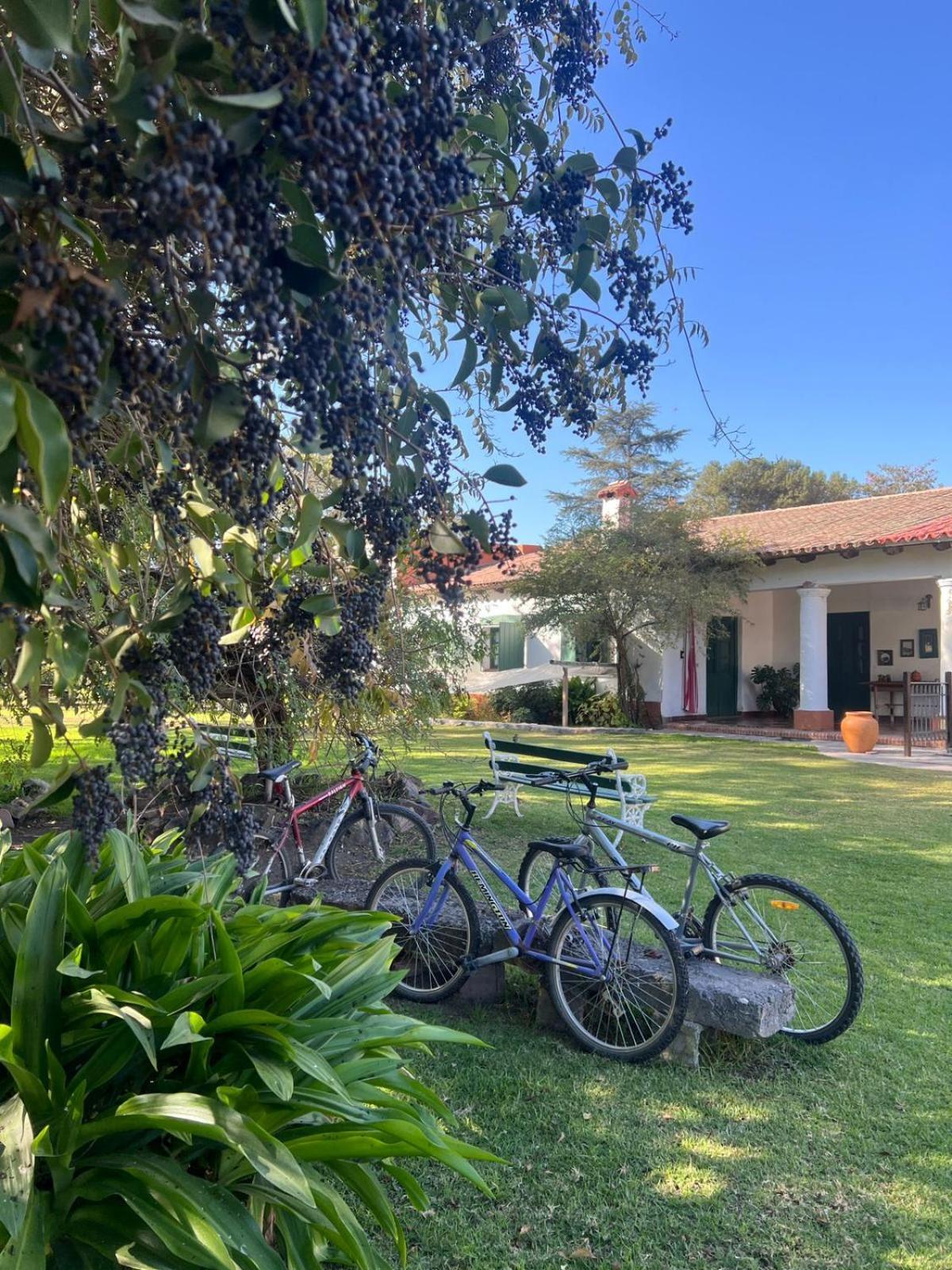 Gasthaus Finca La Secundina Salta Exterior foto